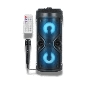 Haut parleur Bluetooth avec microphone karaoké et lumière LED, portable