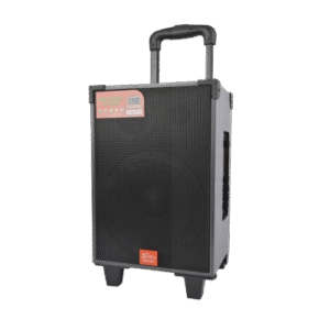 chariot en bois Portable Bluetooth haut parleur Concert DJ KTV karaoké téléphone portable lecteur Audio micro boîte incluse